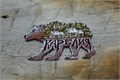 Магнит сувенирный "Карелия. Медведь" - ручная работа, дерево 2859