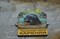 Магнит сувенирный  "Ладожская нерпа. Карелия" - ручная работа, дерево 2016 Магнит сувенирный  "Ладожская нерпа. Карелия" - ручная работа, дерево 2016